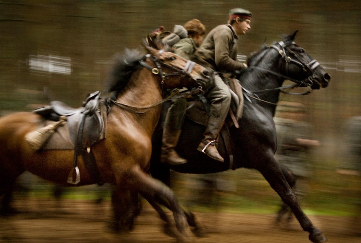 映画 戦火の馬 感動の物語 完全再現ストーリー あらすじ ネタバレ ラスト 戦争映画紹介 レビュー アン ローズ