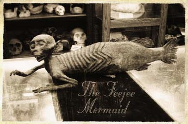 showman-feejee-mermaid.png